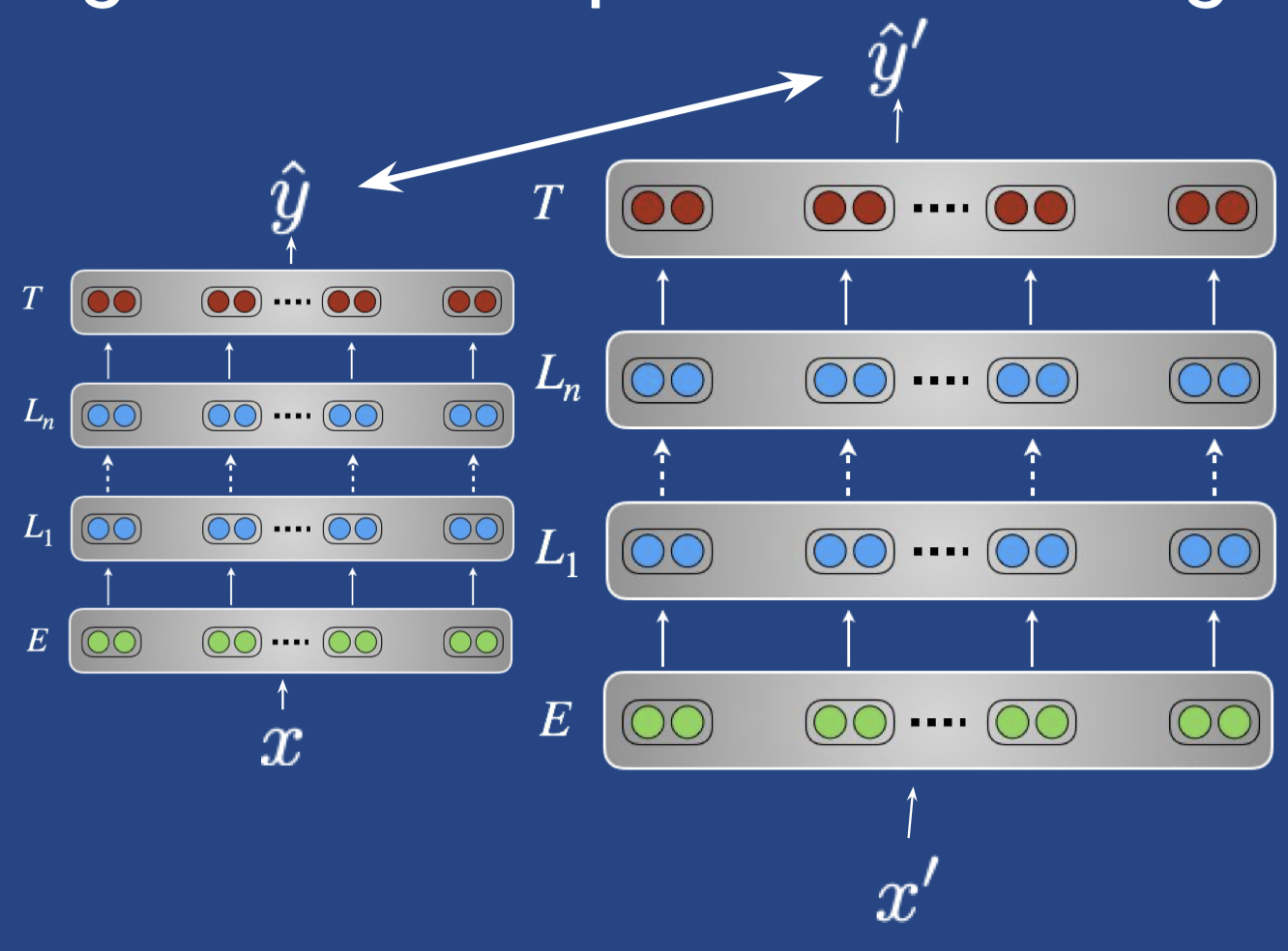 Sequential%20transfer%20learning%20in%20NLP/perturbed.png